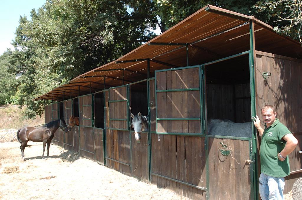 בולסנה La Riserva Montebello מראה חיצוני תמונה
